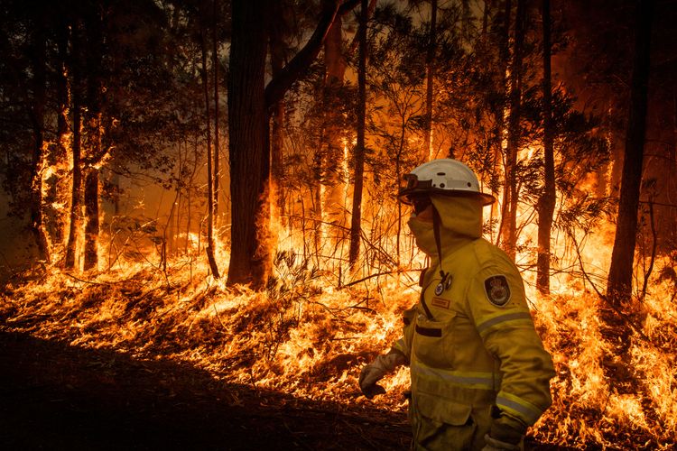 Fire in Chernobyl Exclusion Zone put out, several days needed to douse afterburn, says Emergency Service