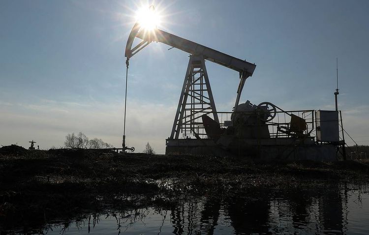 Oil market crisis to push investment in sector down to 13-year low, says IEA
