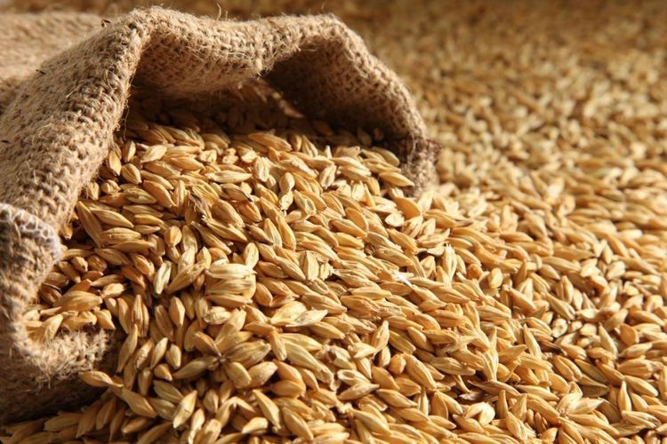 Azerbaijan decreases wheat import