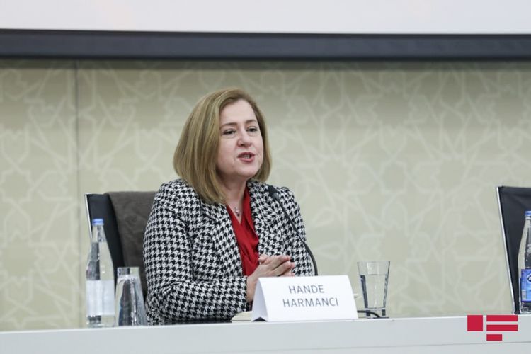 WHO: Purpose of project is to help Azerbaijani government to in fight COVID-19