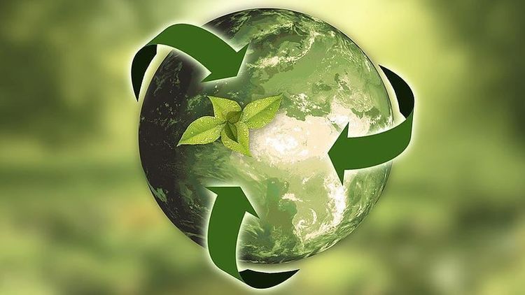 EU waste exports up 66% since 2004