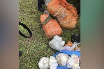Azerbaijan prevents smuggling of drugs worth AZN 10 mln