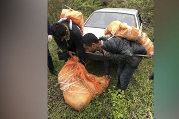 Azerbaijan prevents smuggling of drugs worth AZN 10 mln