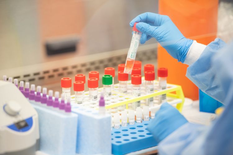 India to buy 75,000 rapid testing kits from South Korea