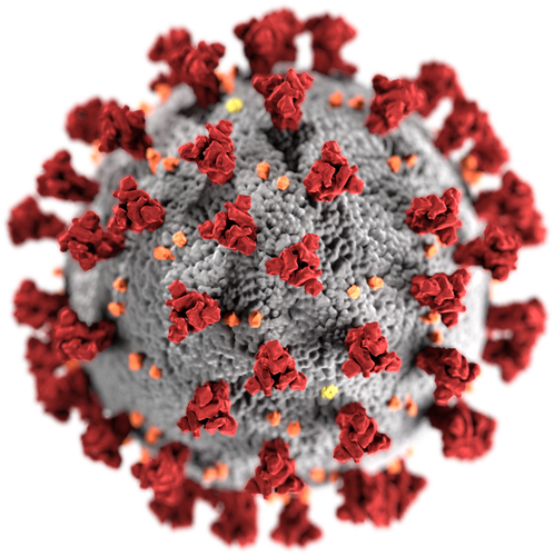 151 dead, 5,710 infected, 261 new cases of COVID-19 in Ukraine