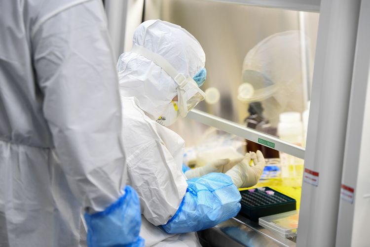 WHO says currently not possible to determine precise source of coronavirus