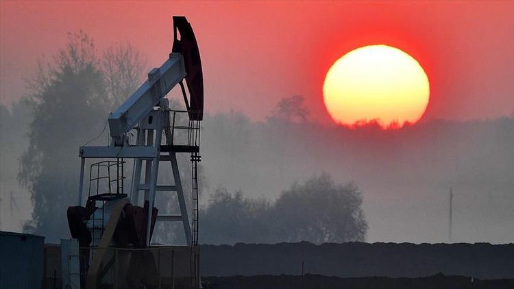 Brent oil falls by 10% below $23 per barrel