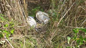 People trying to bring into country weapons and drugs caught - OFFICIAL