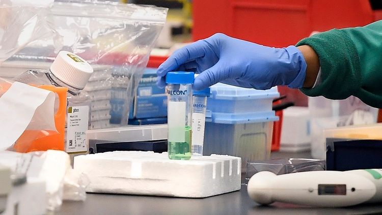 Germany approves first human trials of COVID-19 vaccine - UPDATED