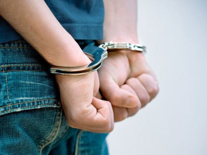 101 prisoners, who were in jail in Georgia, to be handed in Iran