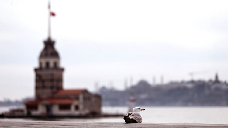 Turkey begins 4-day coronavirus curfew in 31 provinces