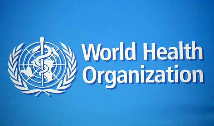 WHO warns that malaria deaths in Africa could double this yea