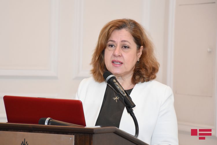 Hande Harmanci: “If quarantine regime eliminated at once, infection cases can intensify again”
