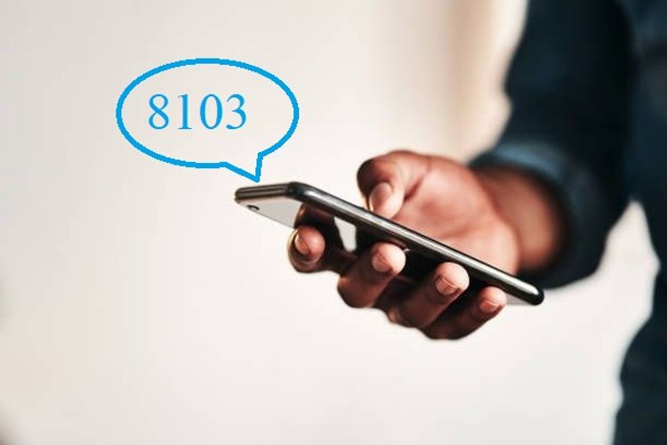 Azerbaijan extends duration of permits to leave home on the basis of an SMS from 2 to 3 hours