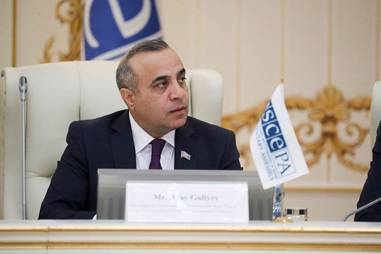 Head and composition of Azerbaijani Delegation to OSCE PA determined