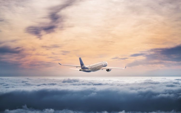SAS to lay off 5,000 employees due to 'unprecedented' coronavirus pandemic reality