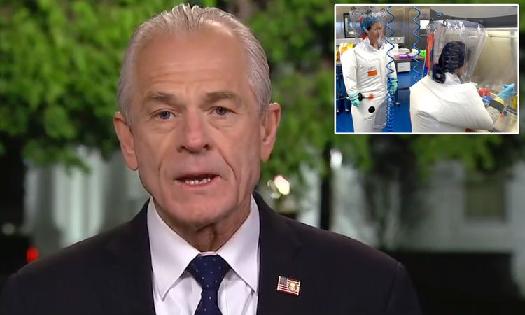 China calls Navarro 'liar' over virus test allegations