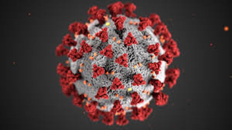 SARS-CoV-2 may damage brain, central nervous system, Russian Health Ministry says