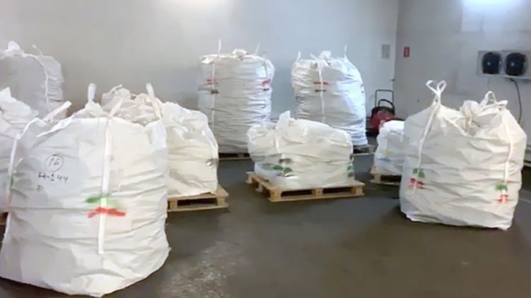 Russia’s FSB thwarts smuggling of $2,715,000 worth of precious metals to Germany