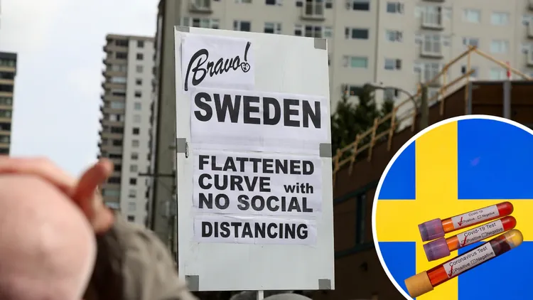 WHO hails lockdown-free Sweden as 'model' for 'new normal' despite gloomy COVID-19 predictions