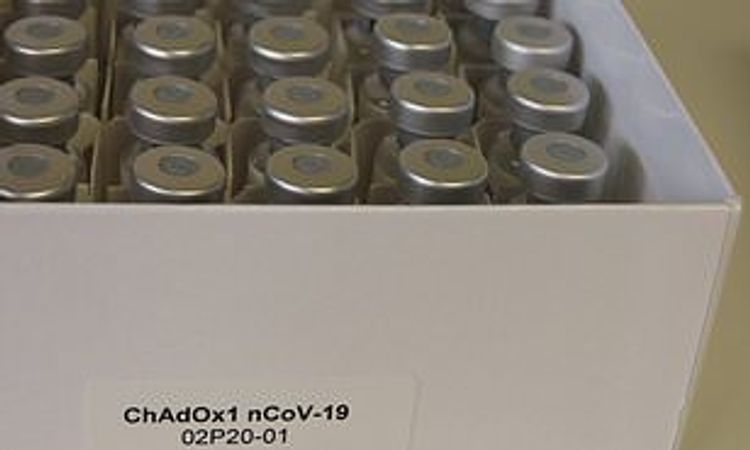Coronavirus vaccine trial results due in mid-June before millions of doses given for free