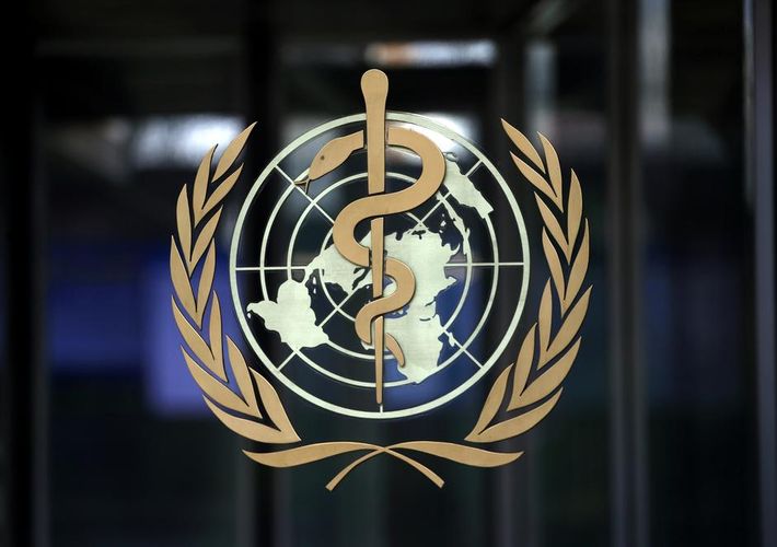 WHO says very concerned at community spread of coronavirus in West Africa
