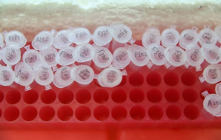 Russia to make several million doses of COVID-19 vaccines per month by 2021, says minister