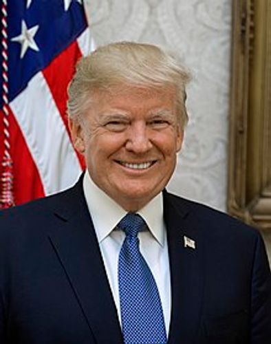 Trump gives Microsoft 45 days to clinch TikTok deal
