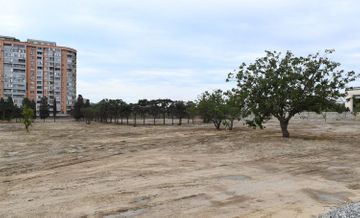 President Ilham Aliyev viewed works to be done in new forest type park in Yasamal district