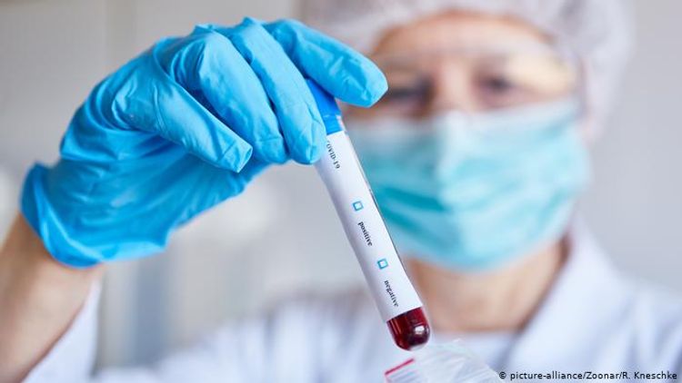 Children, people aged over 70 develop highest levels of COVID-19 antibodies, study reveals