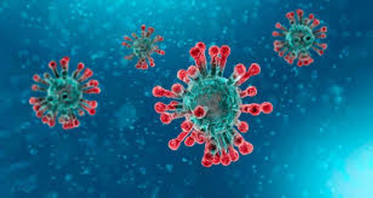 Czechs record biggest daily jump in coronavirus cases since April 3