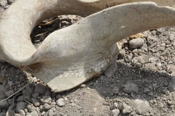 Ancient historical monument and art exhibits found during road construction in Azerbaijan's Ismayilli
