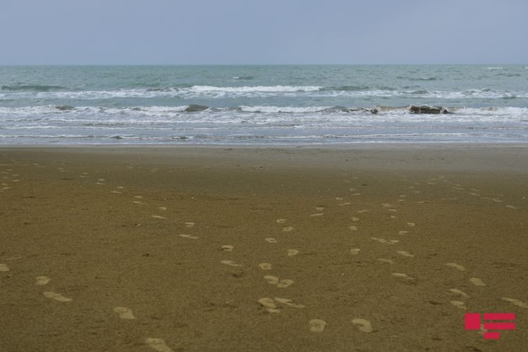 Task Force: Beaches are not so crowded