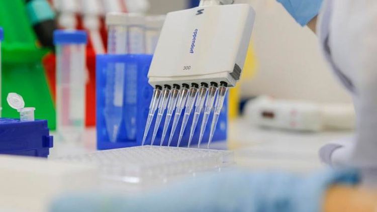Oxford's vaccine in phase 3 of trial in India