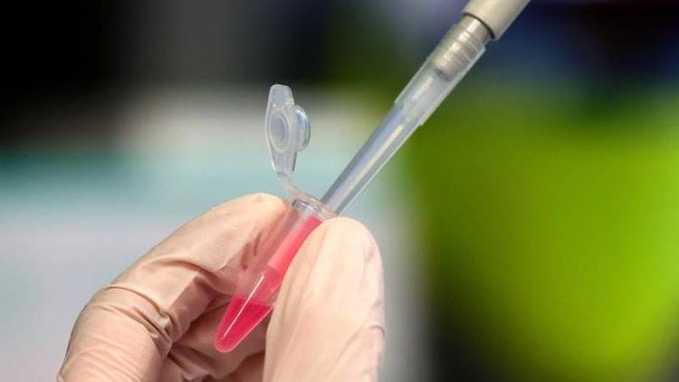 Vaccine could be available in Germany by Jan 2021