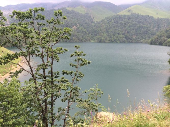 National parks to reopen from tomorrow