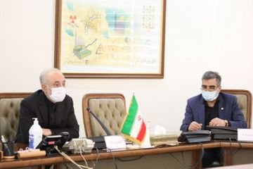 International Atomic Energy Agency Director-General holds meetings in Iran