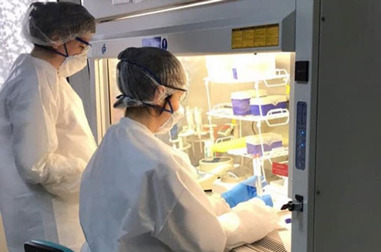 Armenia's coronavirus cases reach 43,067