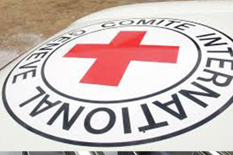 ICRC prepares new video on missing persons - VIDEO