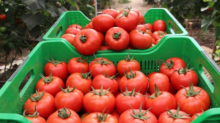 Turkey's annual inflation rate at 14.03% in November