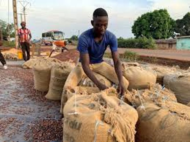 Ivory Coast lifts suspension of Hershey cocoa sustainability schemes