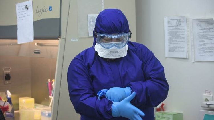 Ukraine registers record 285 daily COVID deaths