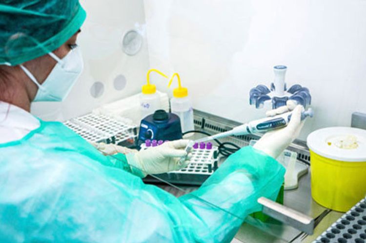 Armenia reports 920 new coronavirus cases, 20 deaths grows in a day
