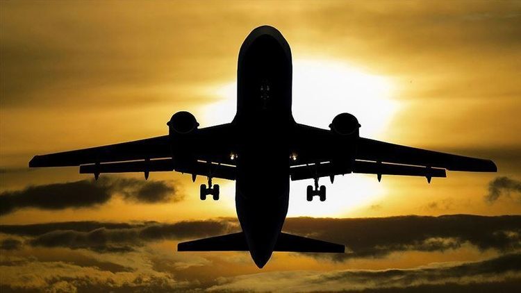 European states move to ban UK flights over new strain