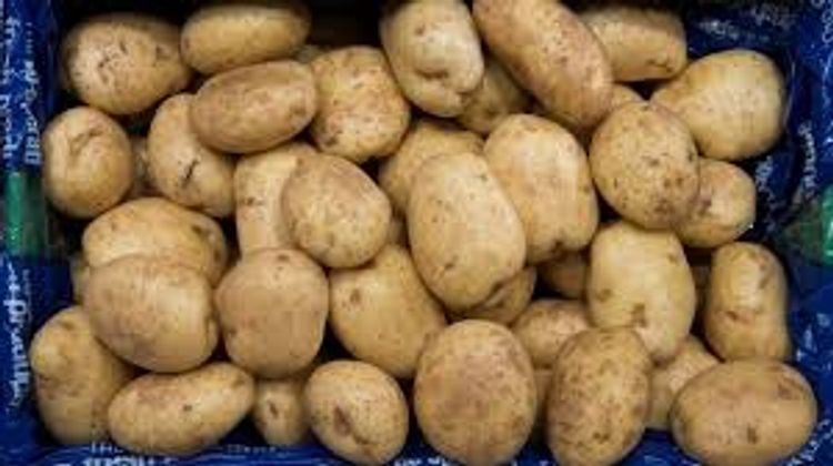 EU to allow post-Brexit UK farm produce exports