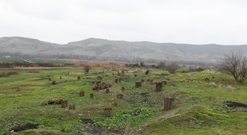 President Ilham Aliyev and first lady Mehriban Aliyeva visited Gubadli and Zangilan districts  - UPDATED