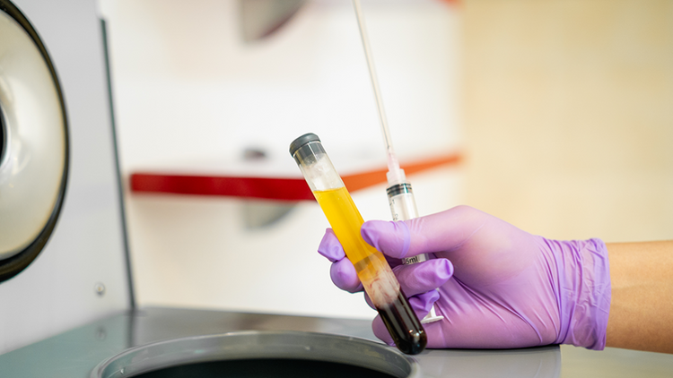 Those vaccinated against COVID-19 can become blood plasma donors, expert says