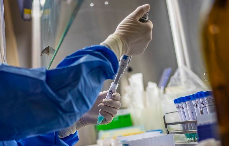 Mutation of coronavirus in UK insignificant, WHO says