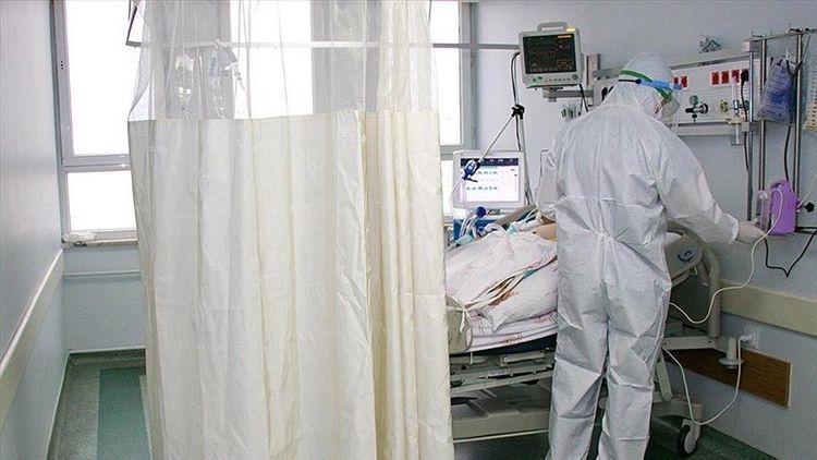 New coronavirus strains to become challenge for healthcare in 2021 - WHO Director-General