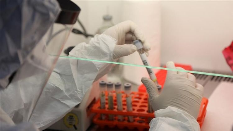 Over 15,800 new COVID-19 cases reported across Turkey